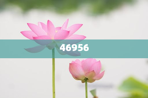 新奧集團(tuán)，邁向2025，天天開好彩的愿景與挑戰(zhàn)，新奧集團(tuán)邁向2025，實現(xiàn)天天開好彩的愿景與挑戰(zhàn)