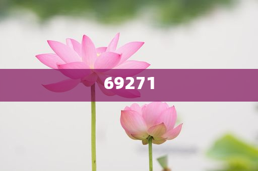新澳今晚9點(diǎn)30分的精彩瞬間與背后故事揭秘，新澳之夜，精彩瞬間與幕后揭秘 9點(diǎn)30分的震撼時(shí)刻