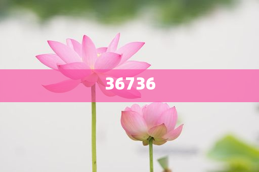揭秘精準(zhǔn)新傳秘籍，7777788888免費(fèi)策略與SEO優(yōu)化，揭秘精準(zhǔn)新傳秘籍，免費(fèi)策略與SEO優(yōu)化指南