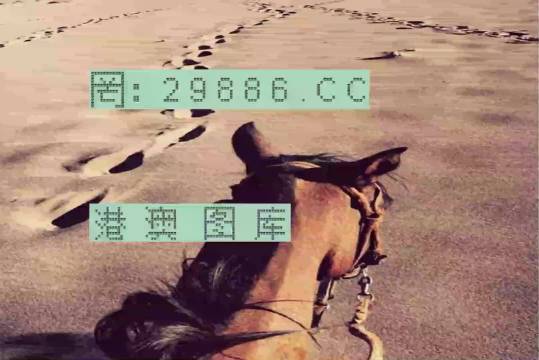 香港特馬資料王中王，揭秘背后的秘密，揭秘香港特馬資料王中王的背后秘密