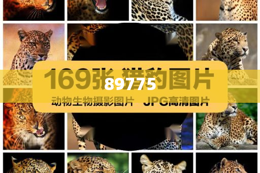 關(guān)于新奧歷史開獎記錄的最新信息，今天公布了嗎？，新奧歷史開獎記錄最新信息公布了嗎？