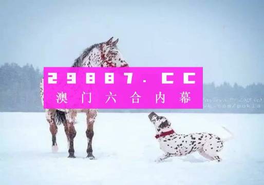 澳門一肖一碼狀元紅，揭秘彩票背后的秘密與策略，澳門彩票揭秘，狀元紅背后的秘密與策略解析