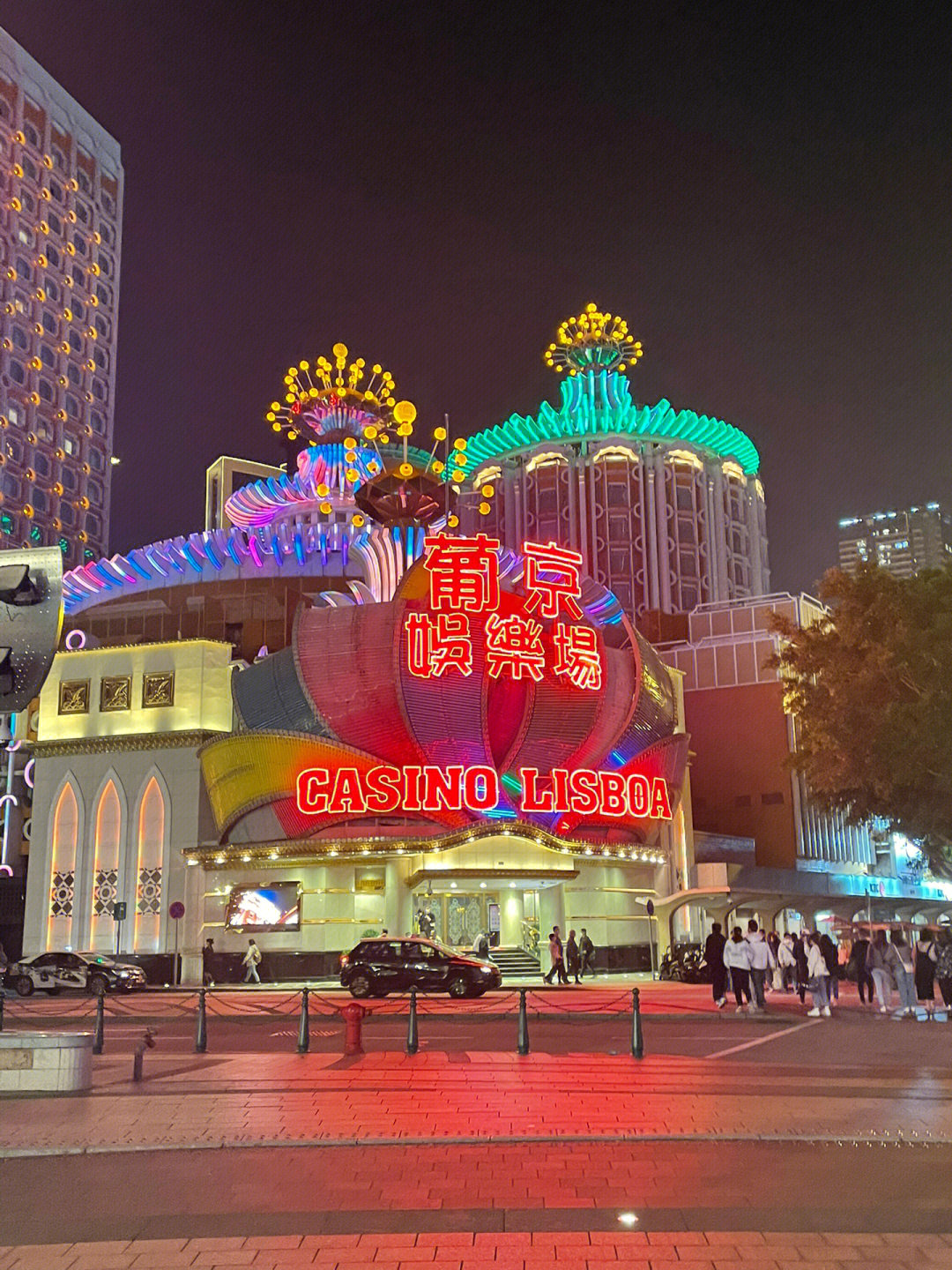 澳門今晚必開一肖一特芳草地，探索生肖與運勢的神秘面紗，澳門生肖運勢揭秘，探索今晚必開一肖一特芳草地神秘面紗的運勢之旅