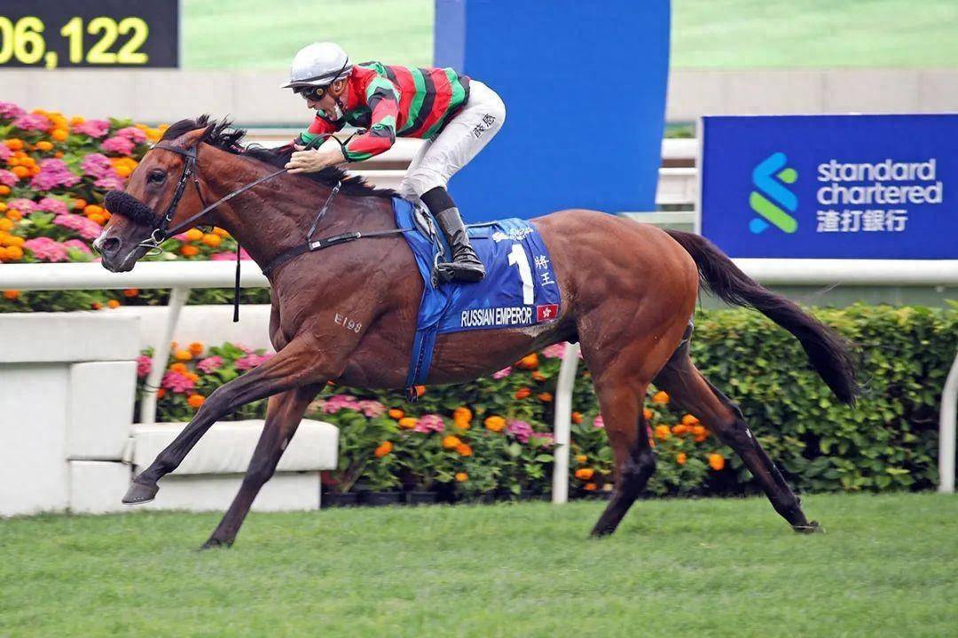 香港馬賽事，探索數(shù)字背后的激情與榮耀 7777788888，香港馬賽事，數(shù)字背后的激情與榮耀