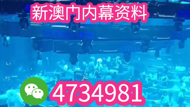 揭秘未來(lái)之星，2025新澳王中王，揭秘未來(lái)之星，2025新澳王中王風(fēng)采展示