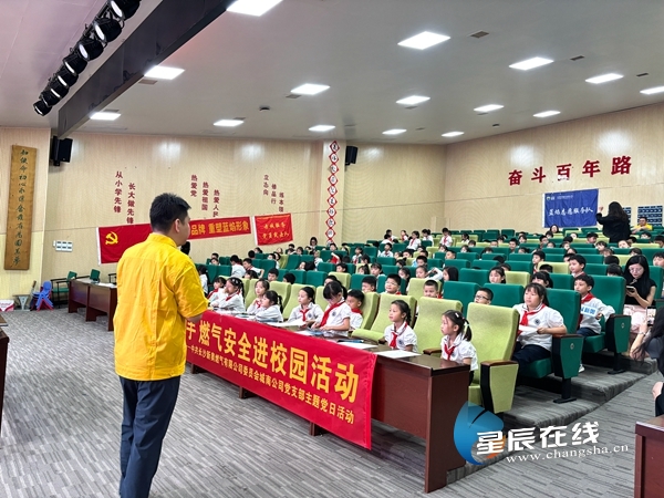 新奧49正版資料，探索與解析，新奧49正版資料深度探索與解析