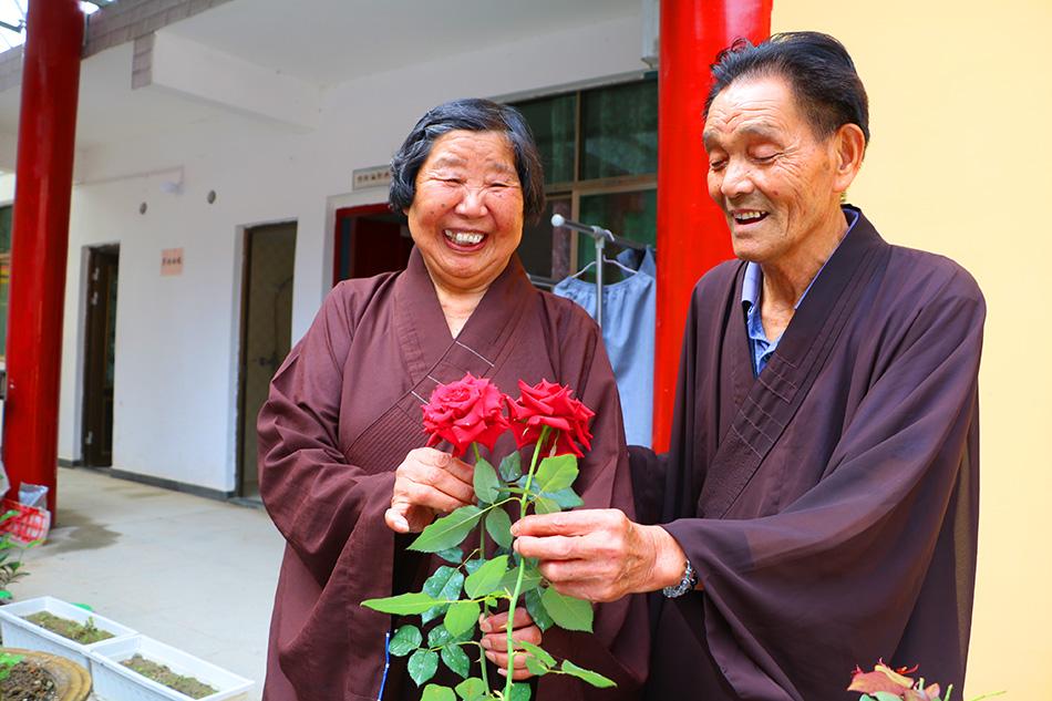 揭秘最準(zhǔn)一碼一肖，揭秘背后的秘密與真相，鳳凰網(wǎng)獨(dú)家報(bào)道，獨(dú)家揭秘，最準(zhǔn)一碼一肖背后的秘密真相（鳳凰網(wǎng)報(bào)道）