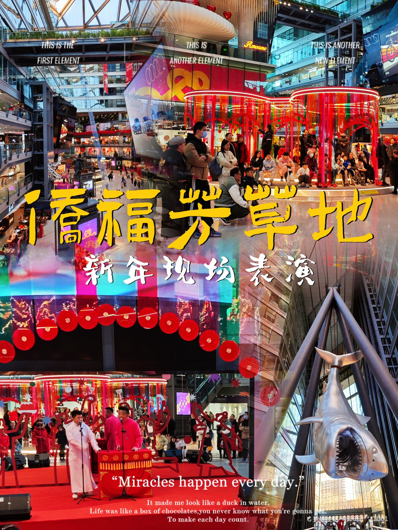 最新揭秘，2024新澳芳草地全方位資料詳解，揭秘2024新澳芳草地全方位資料，最新詳解