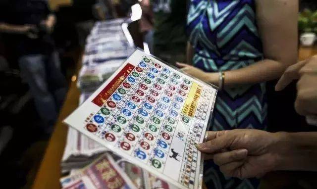 揭秘生肖運勢預測，探尋六肖期期中特期期期準背后的奧秘，揭秘生肖運勢預測背后的奧秘，探尋六肖期期中的精準預測