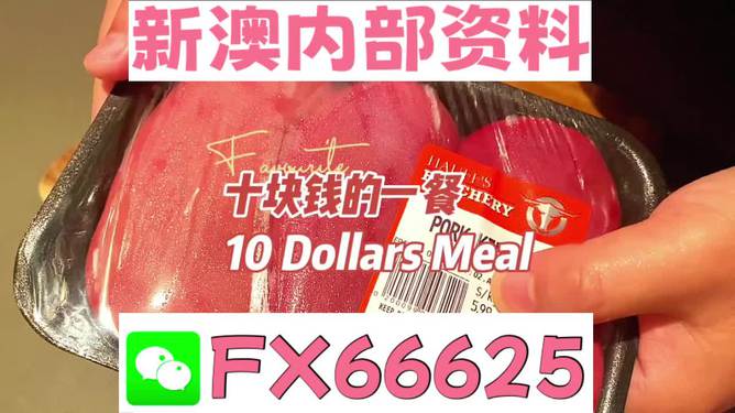 紅雙喜新澳資料，深度解析與SEO優(yōu)化策略，紅雙喜新澳資料深度解析與SEO優(yōu)化策略探討