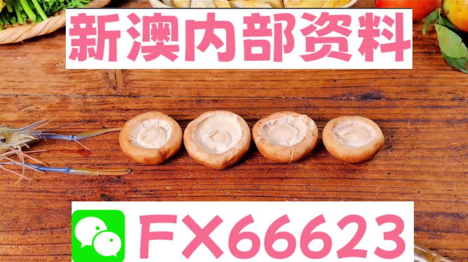 新澳正版資料免費提供，全面解析與深度探索，新澳正版資料全面解析與深度探索，免費提供的指南