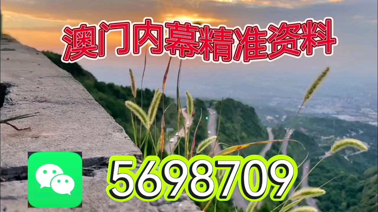 新澳天天開彩資料大全——探索彩票世界的奧秘，新澳天天開彩資料大全，揭秘彩票世界的神秘面紗