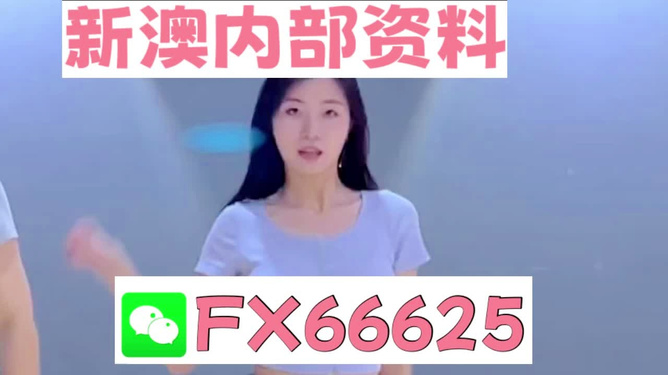 新澳門精準(zhǔn)資料大全——管家婆料解析與探索，澳門精準(zhǔn)資料大全，管家婆料解析與深度探索