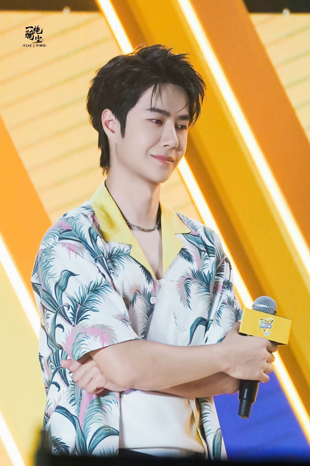 包租婆平特王中王一肖，揭秘角色魅力與背后的故事，揭秘包租婆平特王中王一肖的角色魅力與背后故事