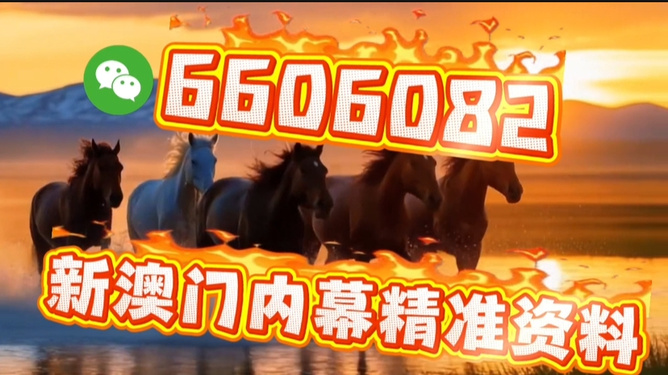 澳門今晚必開一肖一特，探索生肖彩票的魅力與預(yù)測，澳門生肖彩票探索，魅力揭秘與今晚預(yù)測一肖一特