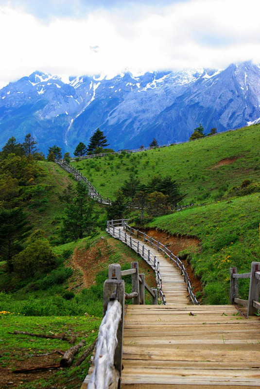 玉龍雪山門票免費政策詳解，玉龍雪山門票免費政策全面解析
