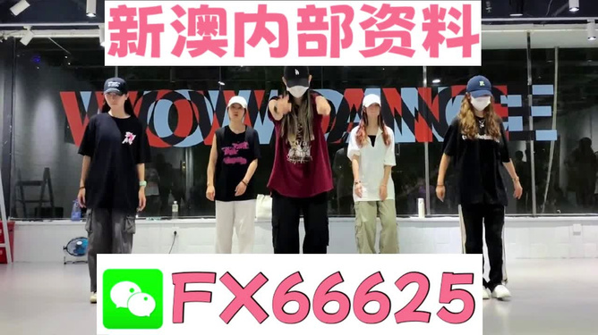 新奧天天免費(fèi)資料大全——探索與優(yōu)化的SEO之旅，新奧天天免費(fèi)資料大全，SEO探索與優(yōu)化之旅