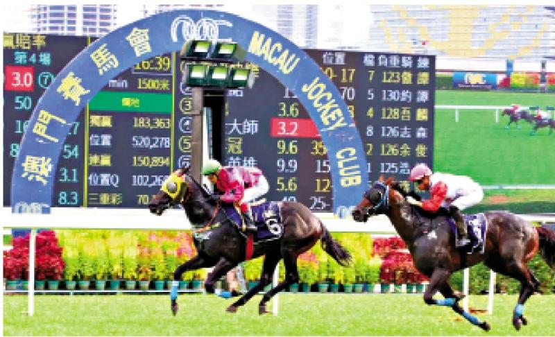 澳門賽馬會(huì)，歷史、文化與激情的交融，澳門賽馬會(huì)，歷史、文化與激情的盛會(huì)