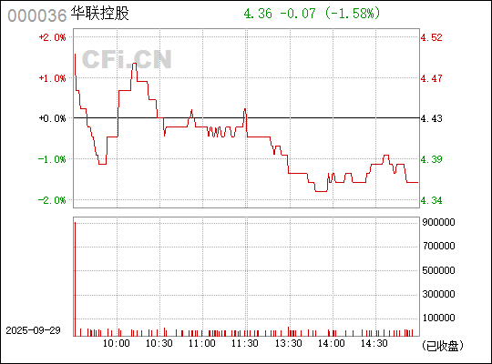 華聯(lián)控股股票，深度解析與前景展望，華聯(lián)控股股票深度解析及前景展望