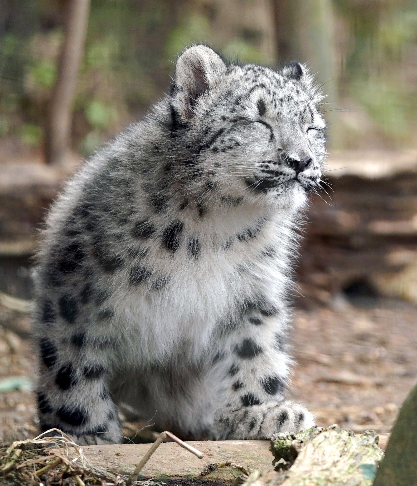 我的寶寶，成長之路的探尋與關(guān)愛，寶寶成長之路，探尋與關(guān)愛的旅程