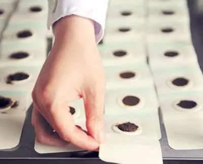 三伏貼，傳統(tǒng)中醫(yī)的獨(dú)特療法與現(xiàn)代應(yīng)用，三伏貼，傳統(tǒng)中醫(yī)的獨(dú)特療法及其現(xiàn)代應(yīng)用探索