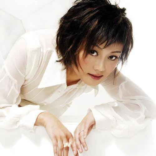 演員何靜個人資料，一位閃耀明星的全方位介紹，演員何靜個人資料大揭秘，全方位了解閃耀明星之旅