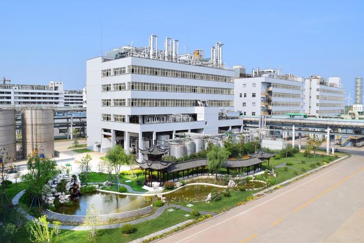 揚(yáng)農(nóng)化工，卓越化工，引領(lǐng)未來(lái)，揚(yáng)農(nóng)化工，卓越化工，引領(lǐng)未來(lái)之路