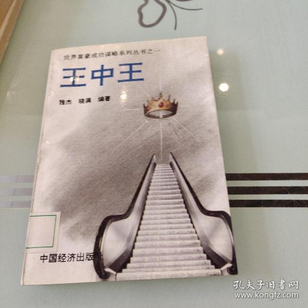 王中王的資料一肖中，深度解析與探索，王中王資料解析，一肖中的深度探索