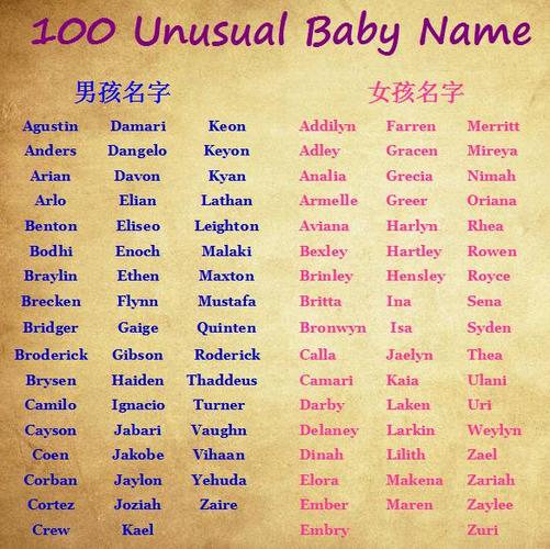 關(guān)于各叫什么名字的SEO文章，SEO文章，名字解析與優(yōu)化策略指南