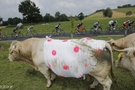王中王四不像特一肖，神秘文化符號(hào)解讀與SEO洞察，王中王四不像特一肖，神秘文化符號(hào)解讀與SEO洞察揭秘