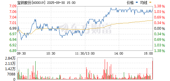 寶鋼股份股票600019，深度解析與市場前景展望，寶鋼股份股票600019深度解析及市場前景展望