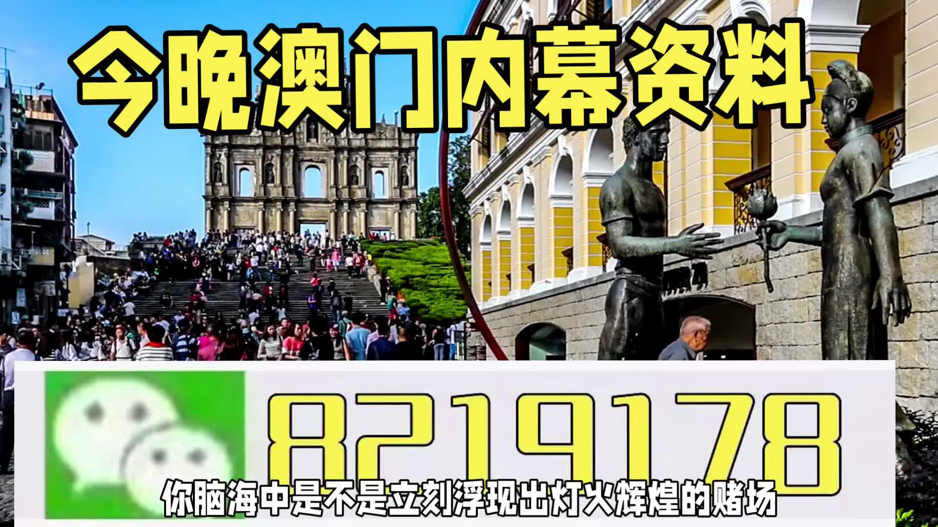 新澳門一肖一特一中，探索與解讀，新澳門一肖一特一中，深度探索與解讀