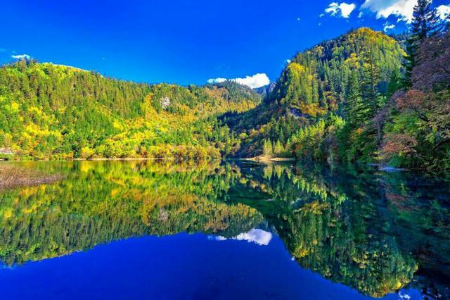 九寨溝五花海，自然之美的巔峰體驗，九寨溝五花海，自然巔峰之美的極致體驗