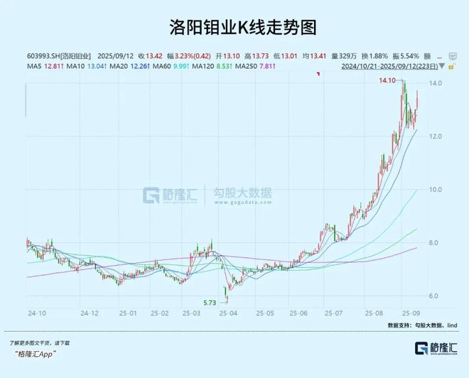 洛陽鉬業(yè)股票今日股價分析與展望，洛陽鉬業(yè)股票今日行情分析與展望