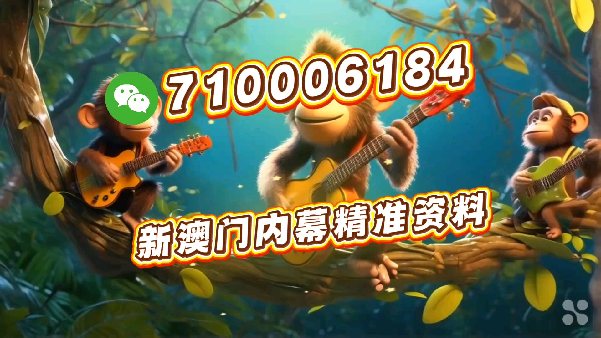 澳門一肖一碼一必中一肖之雷鋒精神與SEO優(yōu)化策略，雷鋒精神與SEO優(yōu)化策略，澳門一肖一碼一必中策略啟示