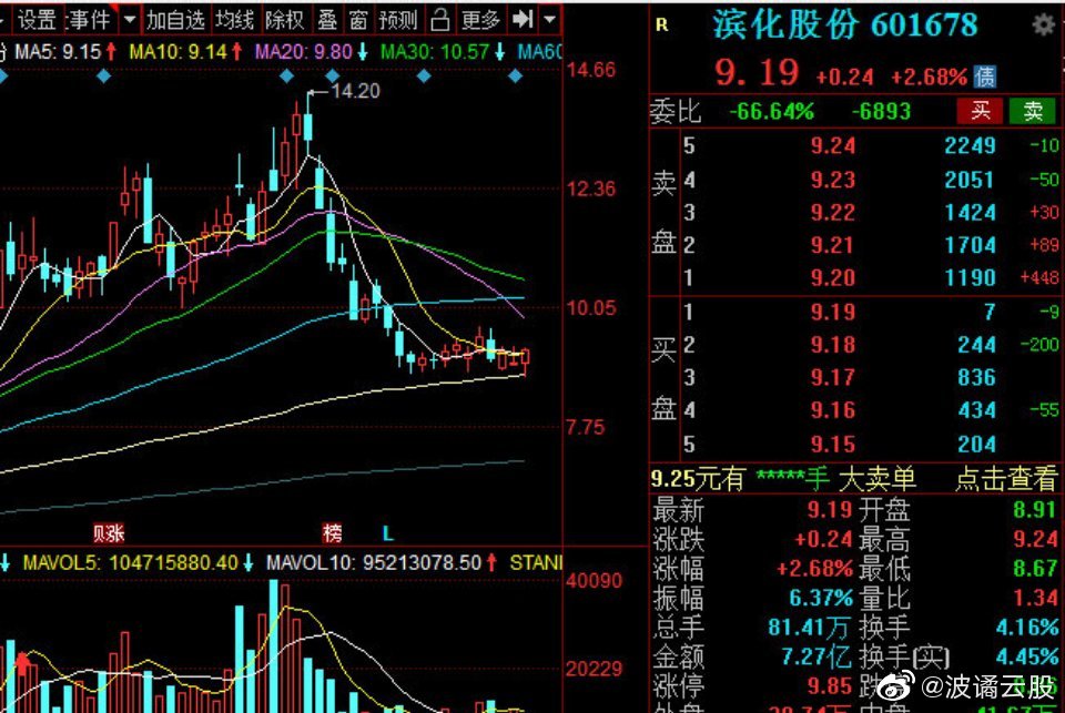 濱化股份股票，深度解析與前景展望，濱化股份股票深度解析及前景展望