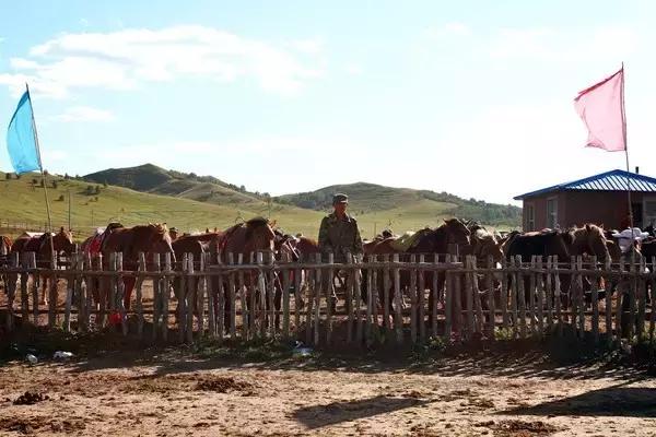 去內蒙古旅游攻略，內蒙古旅游攻略大全，探索草原之美