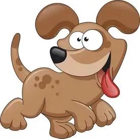 一肖有哪幾個(gè)生肖——生肖文化的深度解析，生肖文化深度解析，一肖涵蓋的生肖有哪些？