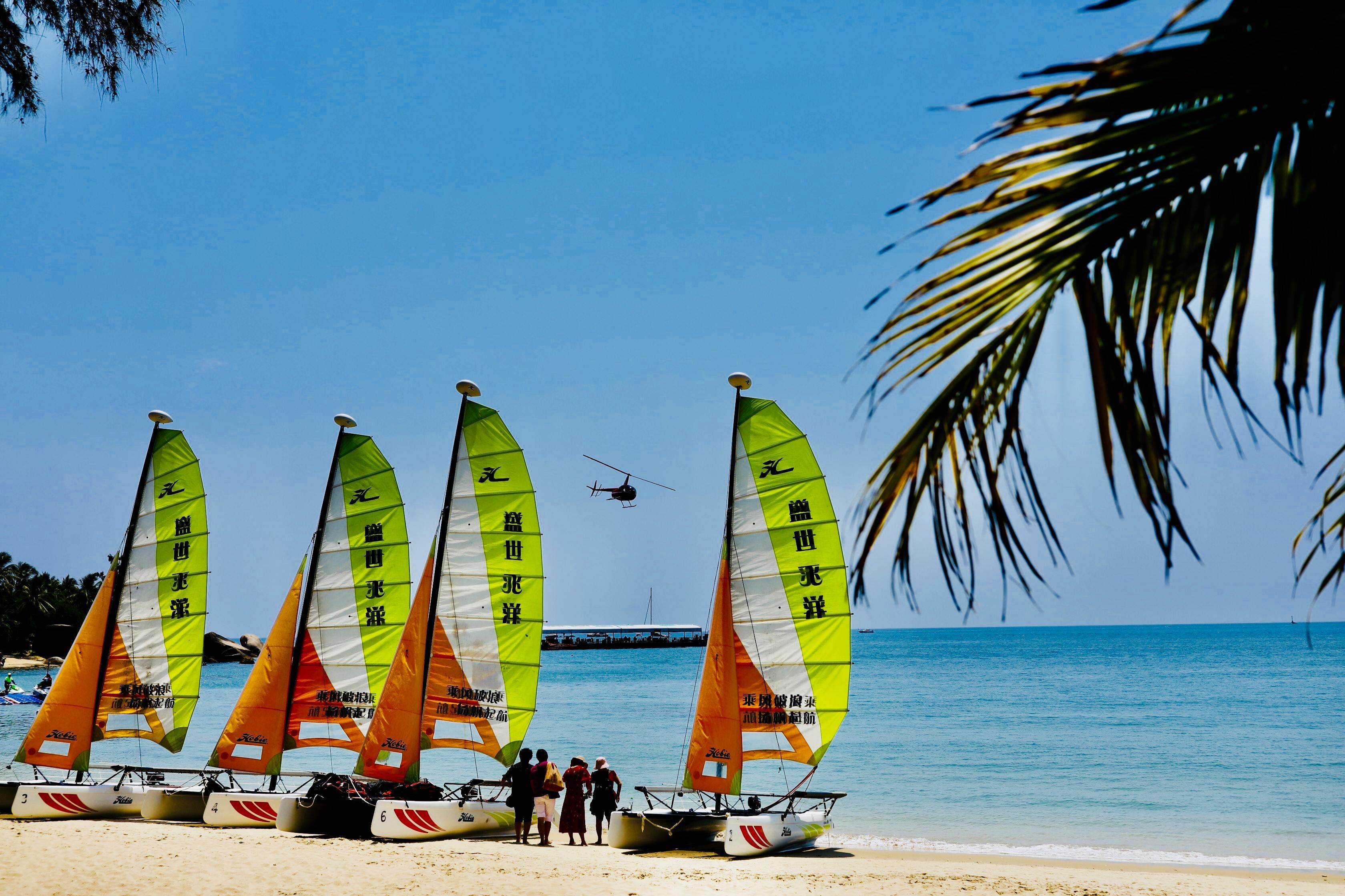 天涯社區(qū)軍事論壇，深度解析與SEO優(yōu)化策略，天涯社區(qū)軍事論壇深度解析與SEO優(yōu)化策略探討