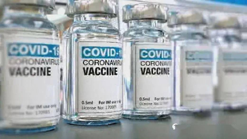 王中王解一肖特，揭秘生肖魅力與獨特之處，揭秘生肖魅力與獨特之處，王中王解讀一肖特