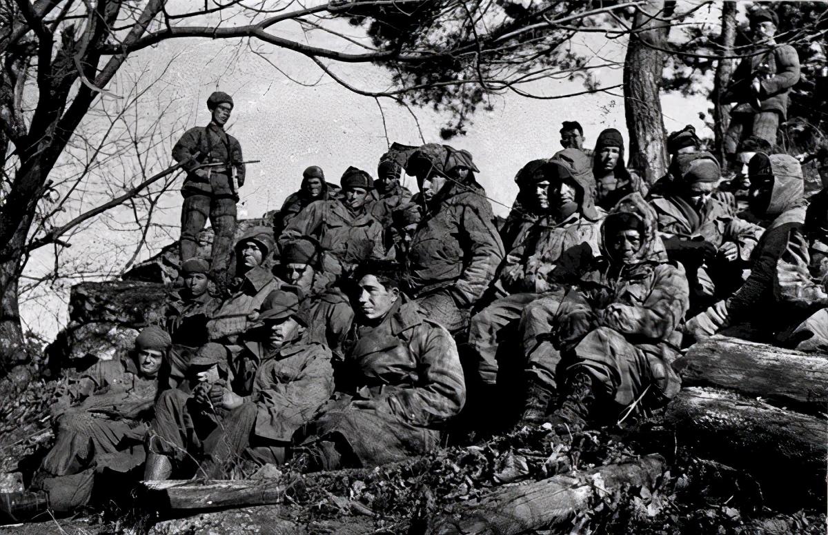 王中王119期指一生肖，深度解析與預(yù)測，王中王119期生肖深度解析與預(yù)測，揭秘未來走向