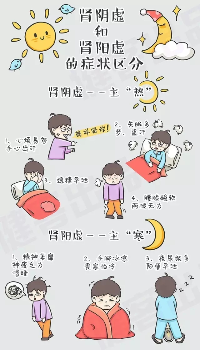 解析腎陰虛與腎陽(yáng)虛，兩者之間的區(qū)別及理解，腎陰虛與腎陽(yáng)虛，解析其區(qū)別與理解