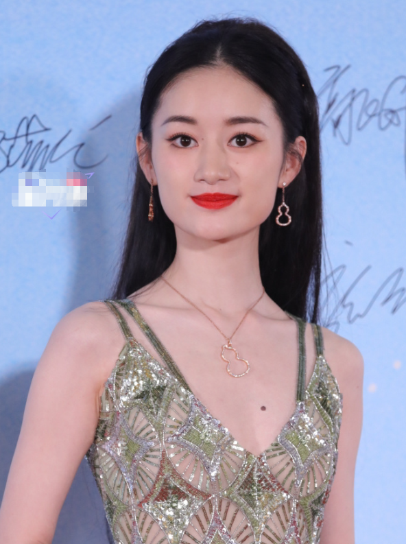 倪萍的歲數(shù)，歲月見證傳奇人生的歷程，倪萍的傳奇人生，歲月見證年齡與魅力