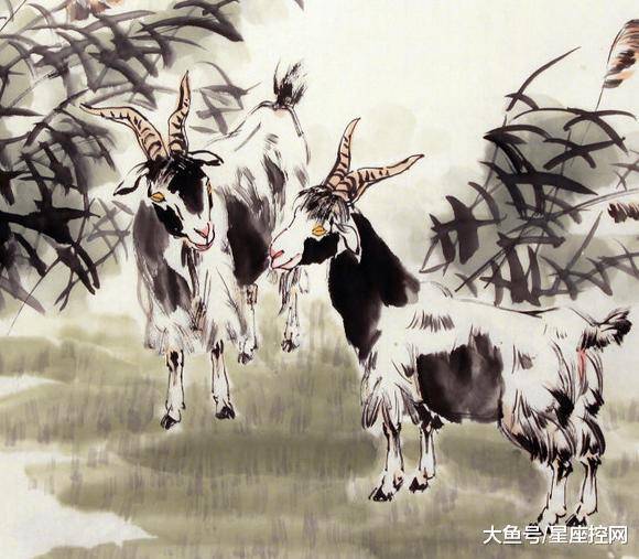 澳門最快開獎(jiǎng)六開生肖，揭秘彩票背后的秘密，澳門六開生肖彩票背后的秘密揭曉