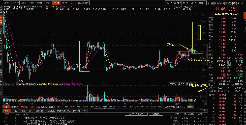 股票投資新寵，揭秘股票002178的潛力與價值，股票投資新星，揭秘股票002178的潛力與價值展望