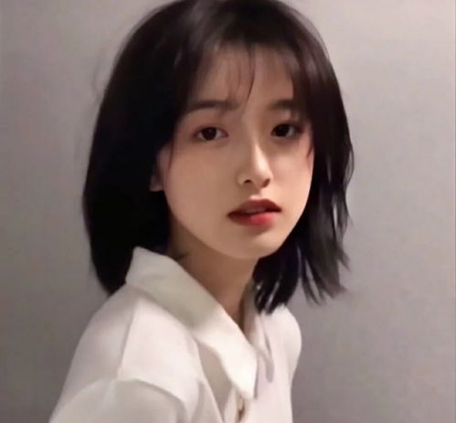 揭秘55049王中王準(zhǔn)一肖的神秘面紗，揭秘，55049王中王準(zhǔn)一肖的神秘面紗揭曉