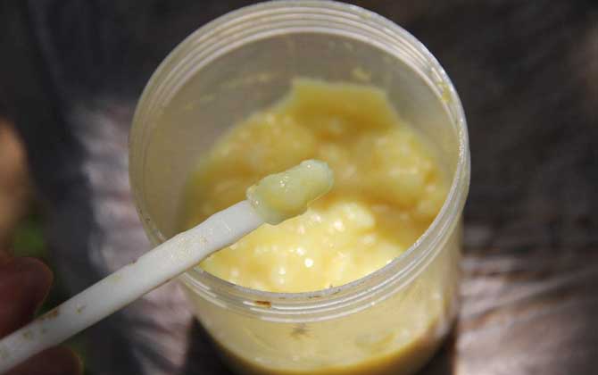蜂王漿，功效、作用及食用方法詳解，蜂王漿，功效、作用及食用方法全面解析