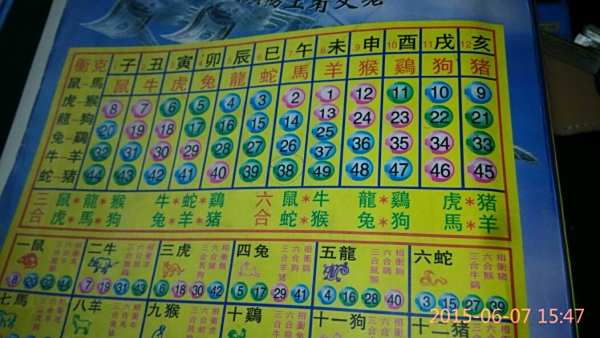 揭秘12生肖開獎記錄，歷史數(shù)據(jù)與趨勢分析，揭秘生肖開獎記錄，歷史數(shù)據(jù)與趨勢深度分析