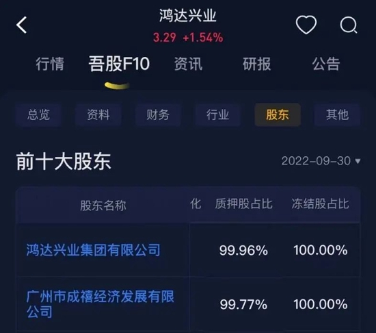 鴻達股份股票，深度解析與前景展望，鴻達股份股票深度解析及未來前景展望