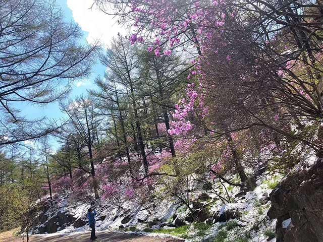 推薦 第10頁(yè)